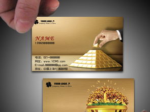 精品投資理財(cái)名片圖片設(shè)計(jì)素材 高清psd模板下載 10.63mb 其他名片大全