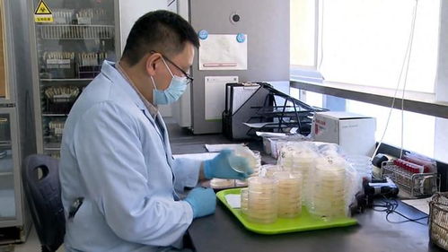 17年上海3人吃蛋糕,一死一傷一人卻沒事,報警調(diào)查發(fā)現(xiàn)不簡單